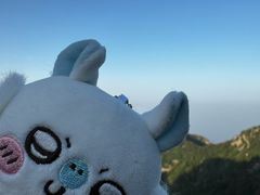 -泰山风景名胜区