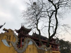 -涂山寺素食餐厅