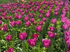 -国家植物园南园