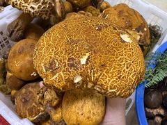 -双喜农庄·菌香园(安居家园店)