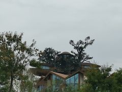 -日照海滨国家森林公园