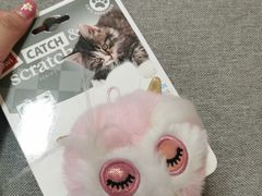 -宠爱国际动物医院· 猫科· 外科·中兽医(长白店)