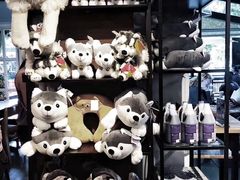 -TrueLove @ Neverland (Husky Cafe)