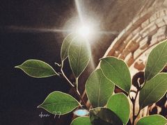 -夜上海(新天地店)