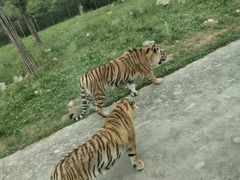 -西安秦岭野生动物园