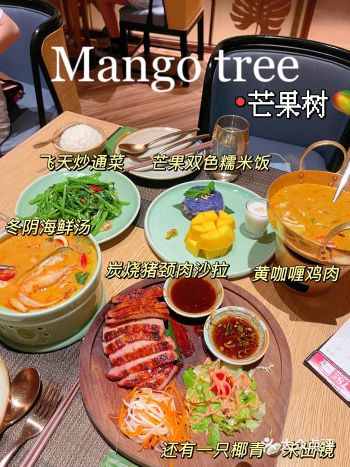 K11/芒果树你还没吃过吗？