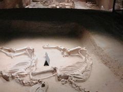 -洛阳周王城天子驾六博物馆