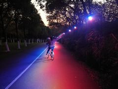 -艾溪湖湿地公园