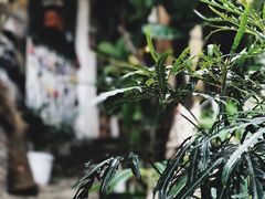-懒鱼时光馆(沙坪坝店)