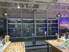 -鲸渝眼镜·浅目视光(春熙路店)