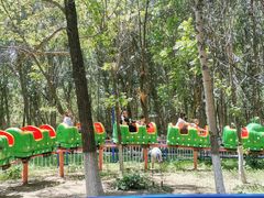 -长白岛森林公园