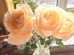 -意国小镇披萨牛排餐厅(新玛特店)