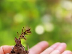 -象头山国家级自然保护区