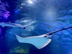 -沈阳海洋探索中心