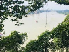 -乐山市博物馆