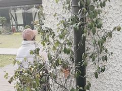 -一尺花园(安和花园店)