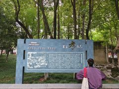 -孝子祠公园