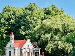 -上海共青森林公园