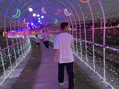 -枫林花海