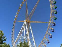 -辛玛王国游乐园