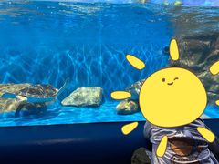 -欢乐海岸海洋奇梦馆