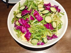 -向川南·水煮鱼·川菜(和平里店)
