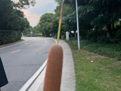 -暨阳湖生态园