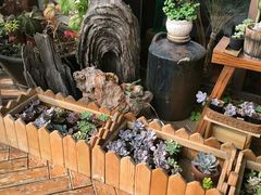-一米阳光咖啡店(百通尚风尚水店)