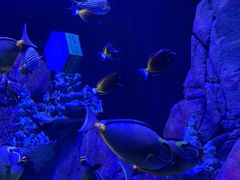 -成都浩海立方海洋公园