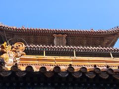 -北陵公园