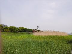 -苏州太湖湖滨国家湿地公园
