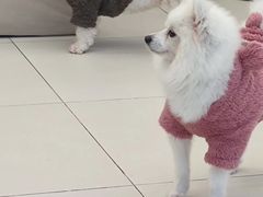 -怪兽屋·羊驼·猫咖·狗咖(俊华广场店)