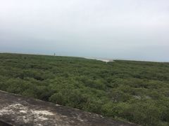 -北海金海湾红树林生态旅游区