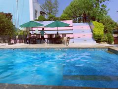 -汪说喵讲宠物乐园宠物酒店(红星美凯龙店)