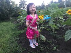 -贵阳市花溪国家城市湿地公园