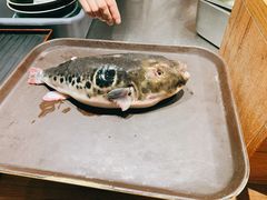 -天正河鲀·河豚亭(大连店)