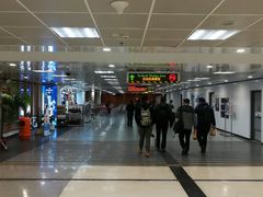 -信德中旅船务管理有限公司