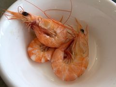 -新河畔海鲜酒楼(虎门店)