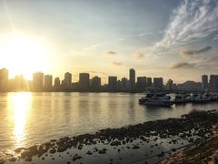 -野狸岛