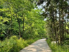 -宜昌富力皇冠假日酒店·咖啡1号西餐厅