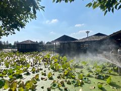 -军山湖云水间水上餐厅(进贤店)