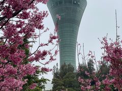 -狐尾山公园