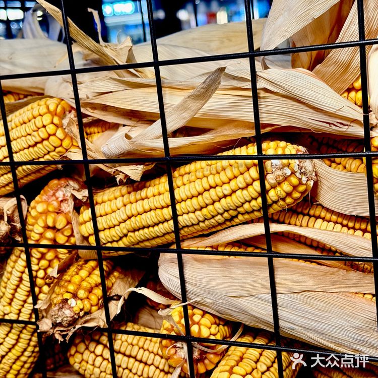 👀靠近「玉米说」，醇香扑鼻，让人沉醉！