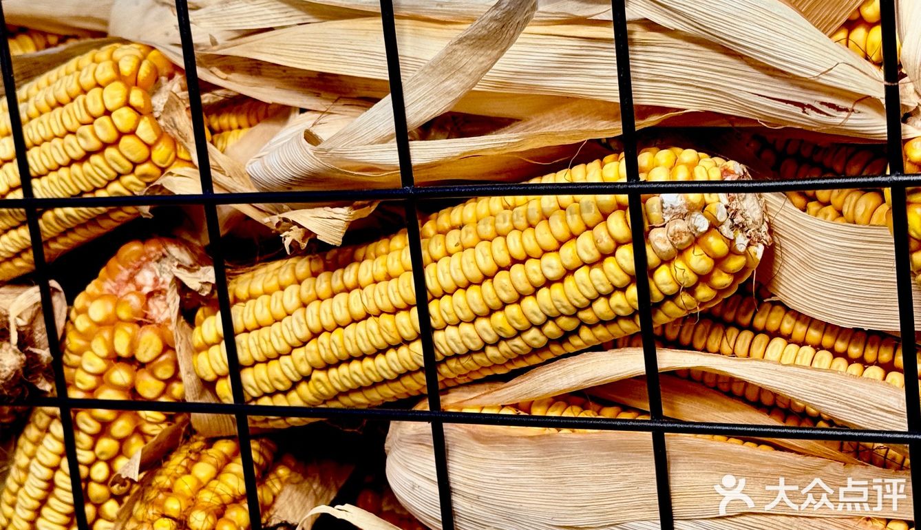 👀靠近「玉米说」，醇香扑鼻，让人沉醉！