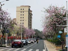 -小南山公园