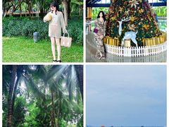 -三亚湾海居铂尔曼度假酒店