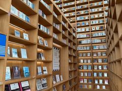 -朵云书院(滴水湖店)