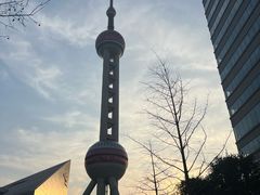 -上海海洋水族馆