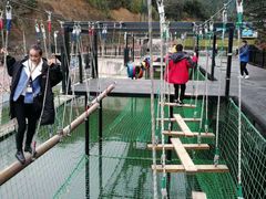 -梦幻奥陶纪景区