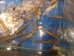 -深海壹品海鲜自助餐厅(吾悦广场店)